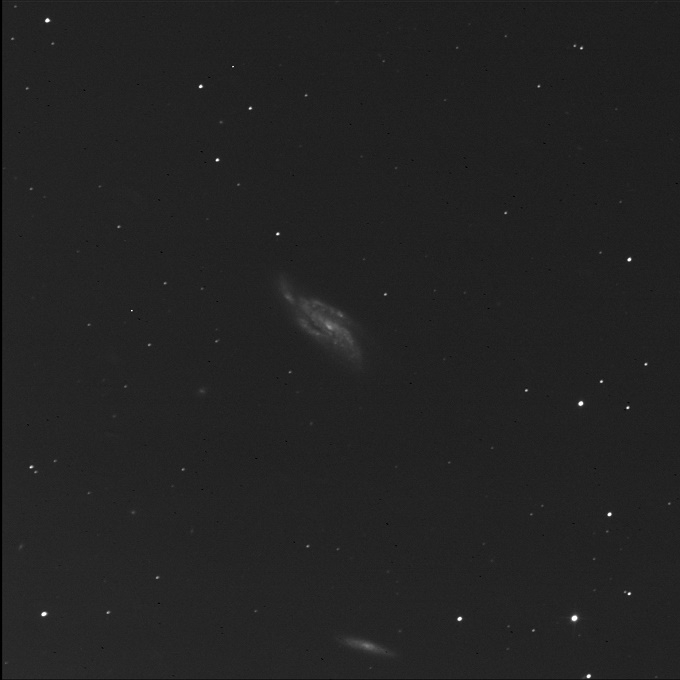 disturbed galaxy NGC 4088 in luminance